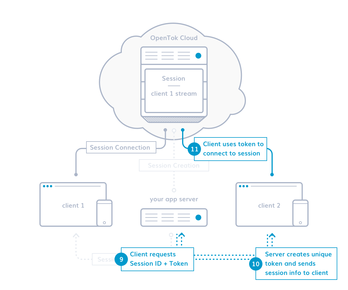 Video API Basics | Vonage Video API Developer